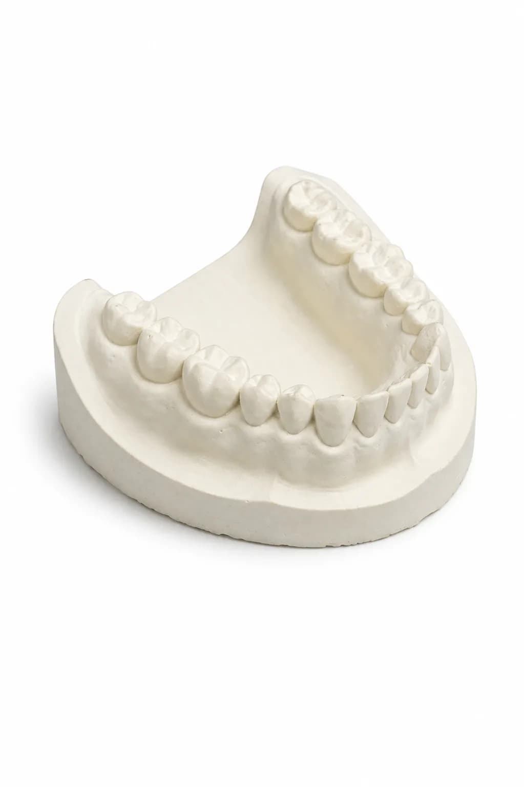 Dentlous Cast
