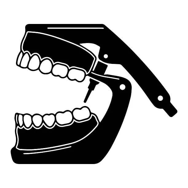 Prosthodontics Lab Package (2nd Stage)